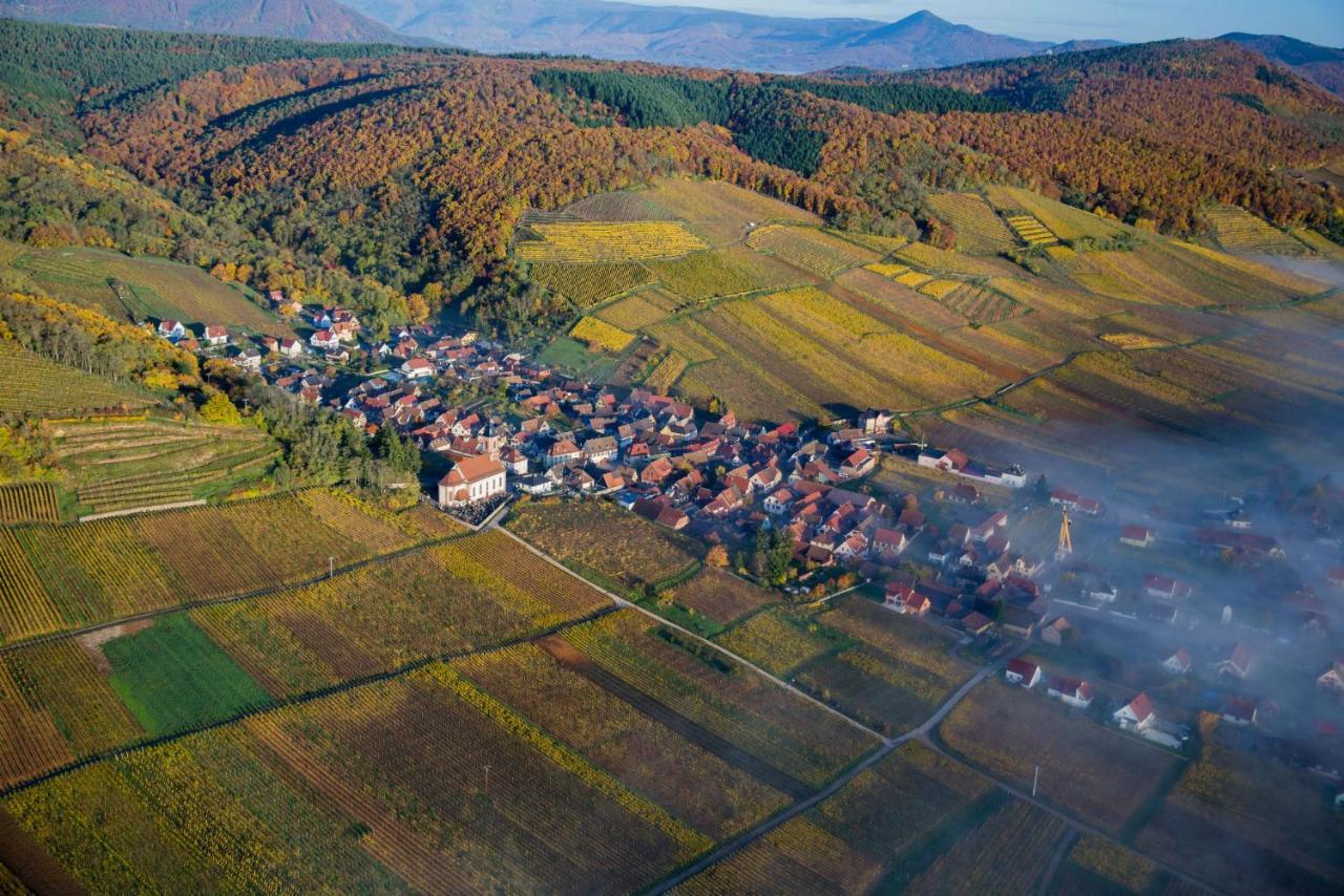 Maison De Ville Selestat Centre Buitenkant foto